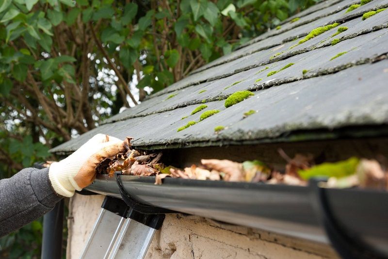gutter-cleaning-bishopville